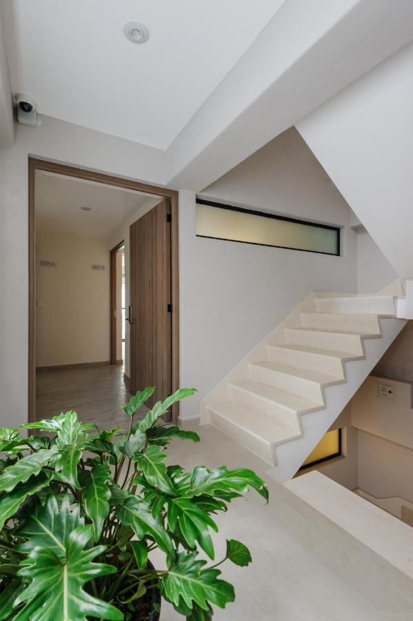 Choapan 28 - Lux Apartments In Condesa Kota Meksiko Bagian luar foto
